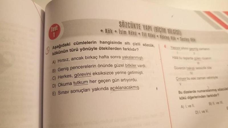 Kökünün Türü Ne Demek?